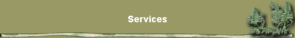 Services